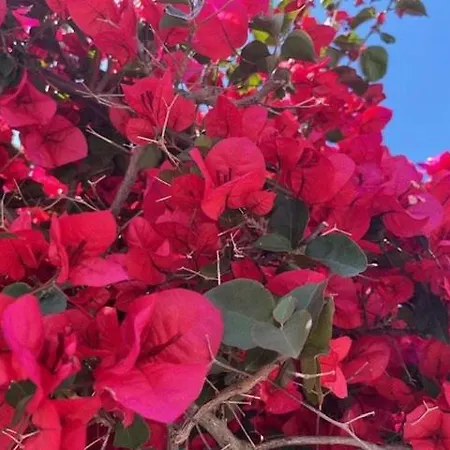 Ca350-004 4 Personnes Sur 아파트