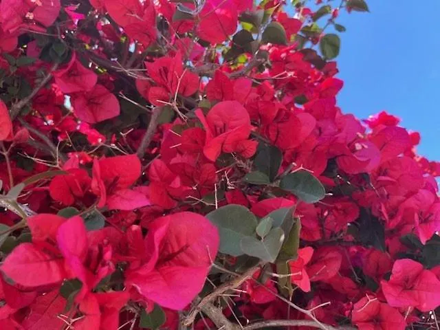 Ca350-004 4 Personnes Sur 아파트